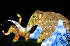 Promenade nocturne au jardin des plantes