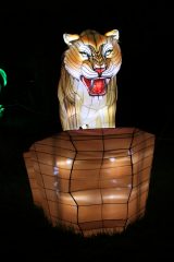 Promenade nocturne au jardin des plantes