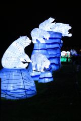 Promenade nocturne au jardin des plantes