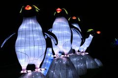 Promenade nocturne au jardin des plantes