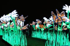 Promenade nocturne au jardin des plantes