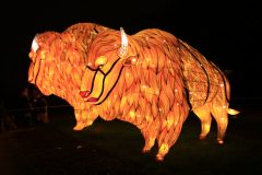 Promenade nocturne au jardin des plantes