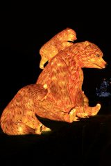 Promenade nocturne au jardin des plantes