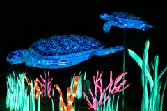 Promenade nocturne au jardin des plantes