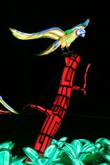 Promenade nocturne au jardin des plantes