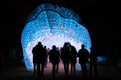 Promenade nocturne au jardin des plantes