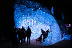 Promenade nocturne au jardin des plantes