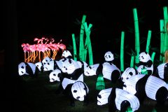 Promenade nocturne au jardin des plantes