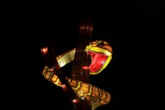 Promenade nocturne au jardin des plantes