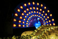 Promenade nocturne au jardin des plantes