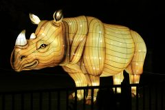 Promenade nocturne au jardin des plantes