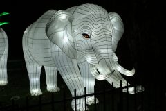 Promenade nocturne au jardin des plantes