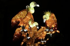 Promenade nocturne au jardin des plantes