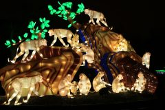 Promenade nocturne au jardin des plantes