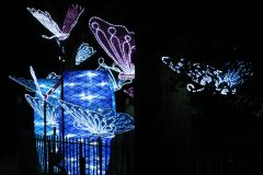 Promenade nocturne au jardin des plantes