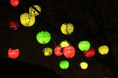 Promenade nocturne au jardin des plantes