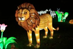 Promenade nocturne au jardin des plantes