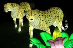 Promenade nocturne au jardin des plantes