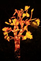 Promenade nocturne au jardin des plantes