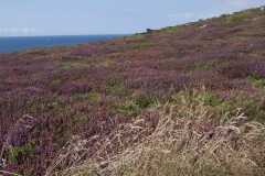 Pointe du Raz