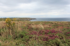 Pointe du Raz