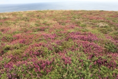 Pointe du Raz