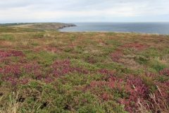 Pointe du Raz