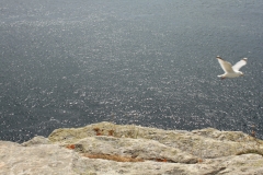 Pointe du Raz