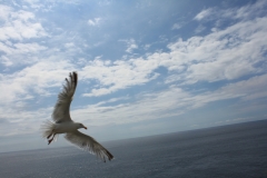 Pointe du Raz
