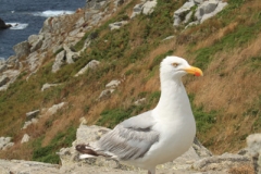 Pointe du Raz