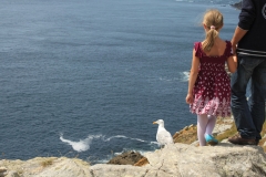 Pointe du Raz