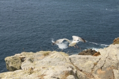 Pointe du Raz
