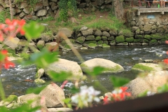Pont Aven