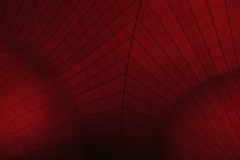 dscf9335