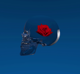 Preview : Skull & roses