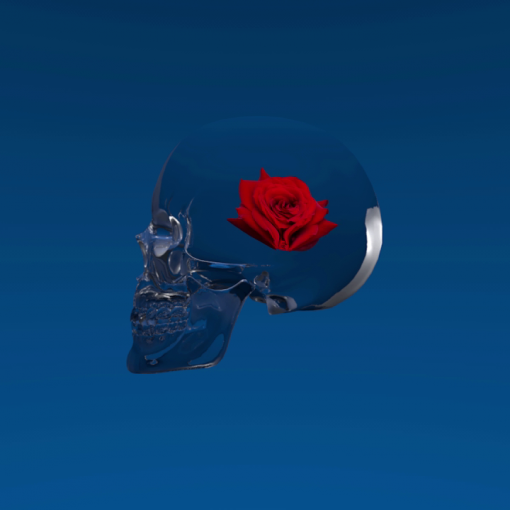Preview : Skull & roses