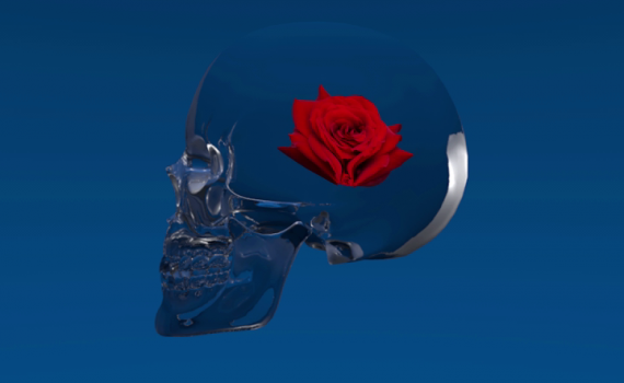 Preview : Skull & roses