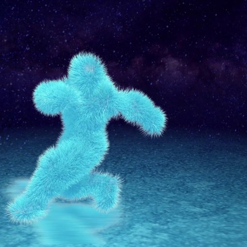 Preview : Yeti dancer