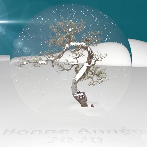 Arbre enneigée dans une boule en verre où la neige tombe. Le tout posée dans un paysage de ciel bleu enneigé.