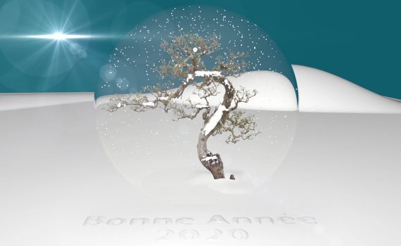 Arbre enneigée dans une boule en verre où la neige tombe. Le tout posée dans un paysage de ciel bleu enneigé.